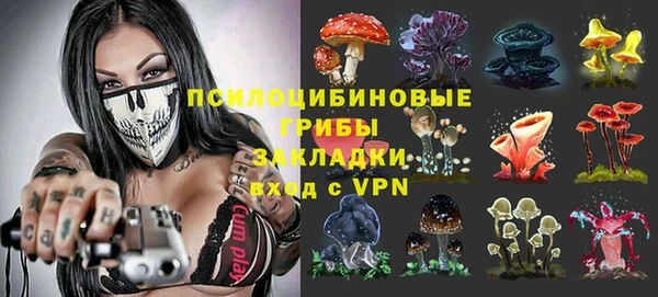 сатива Алексеевка